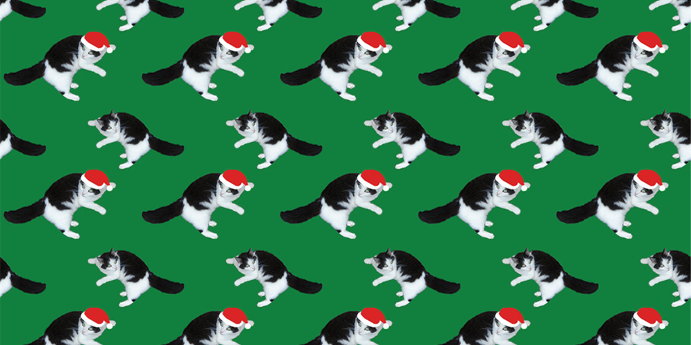 Christmas cat repeat